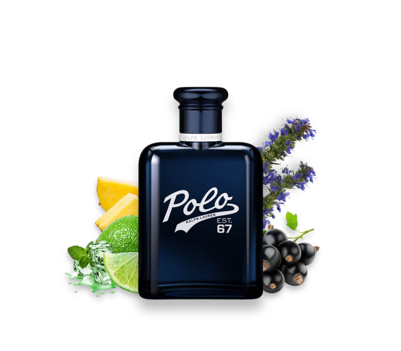 RALPH LAUREN - Polo 67 EDT 15ML (Miniatura)