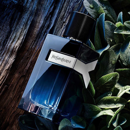 YVES SAINT LAURENT - Y EDP (hombre)