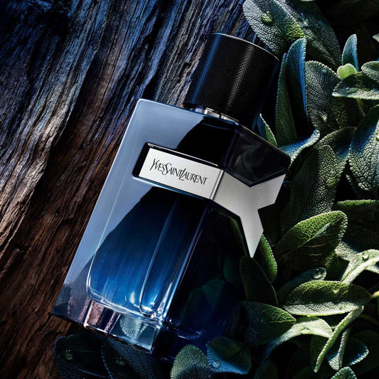 YVES SAINT LAURENT - Y EDP (hombre)